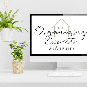organizing experts university on computer