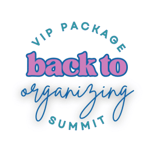 VIP Package : Back To Organizing Summit 2024